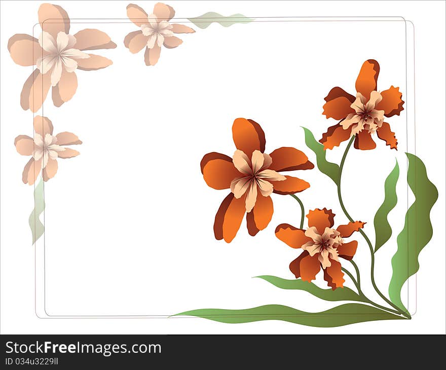 Flower orchid ,isolated background frame