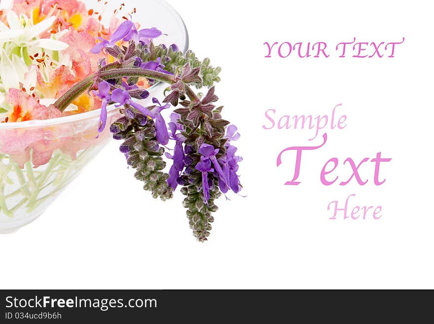 Wild flowers in a glass vase for congratulations