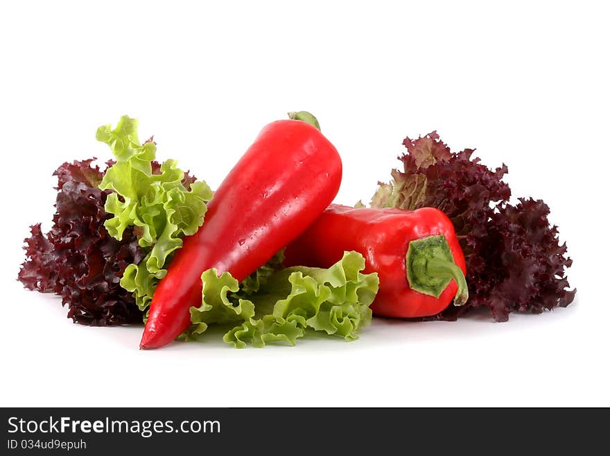 Bulgarian red pepper leaves of green and burgundy lettuce isolated on white background