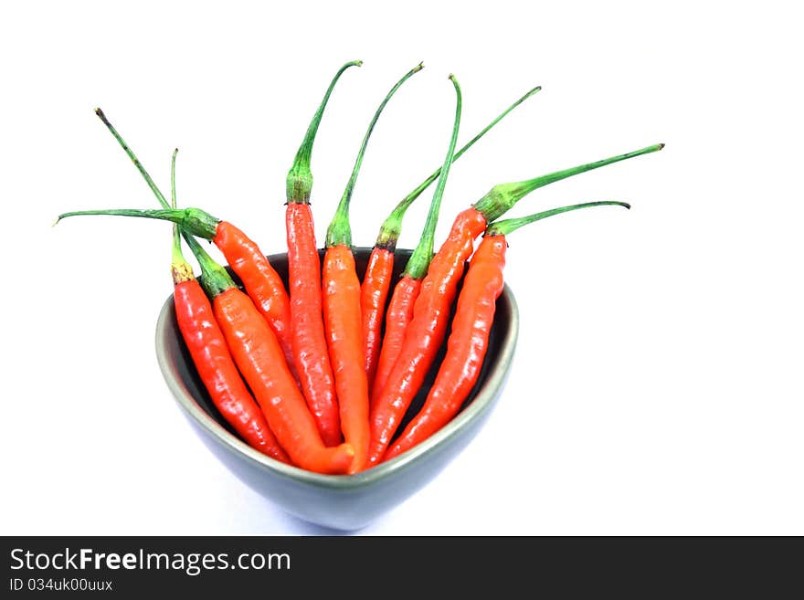 Red pepperoni on white background. Red pepperoni on white background