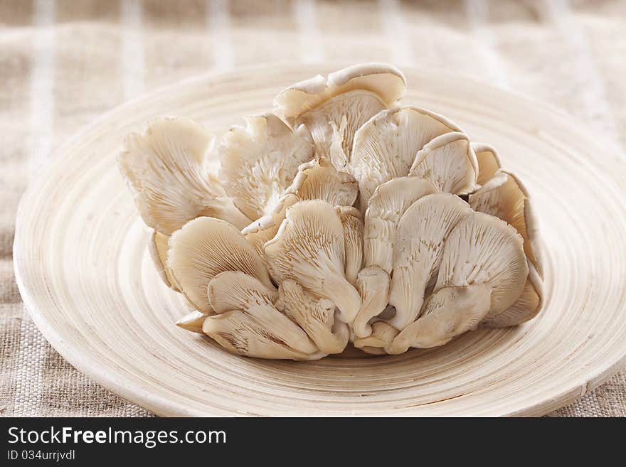 Fresh oyster mushrooms on wooden background