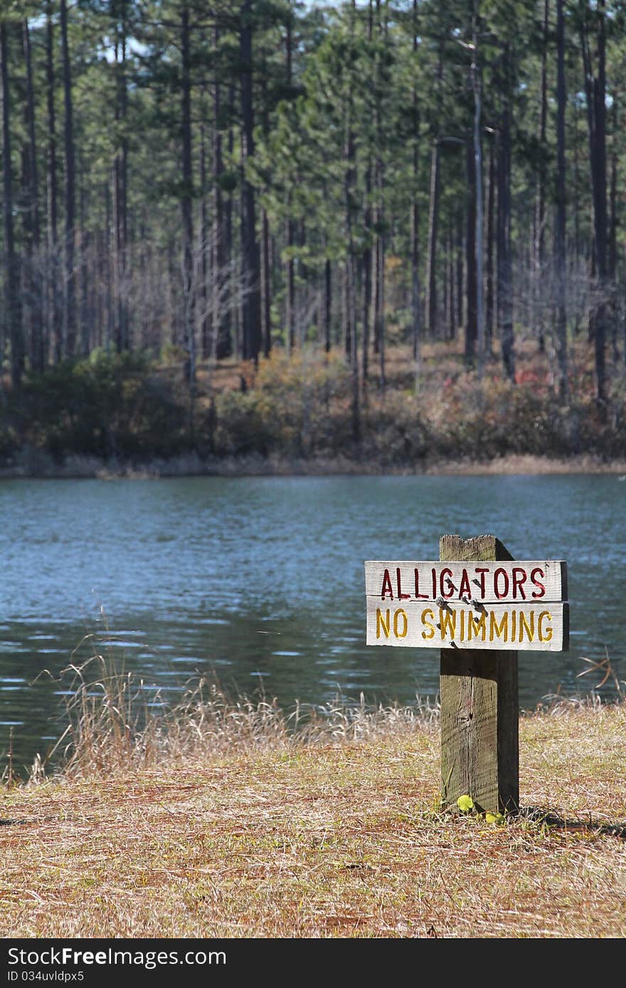 Alligators No Swimming sign at Hurricane Lake in Black River State Forest, FL. Alligators No Swimming sign at Hurricane Lake in Black River State Forest, FL