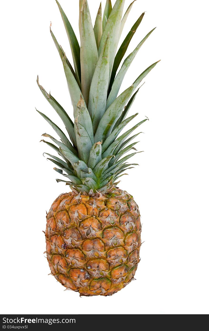 Pineapple