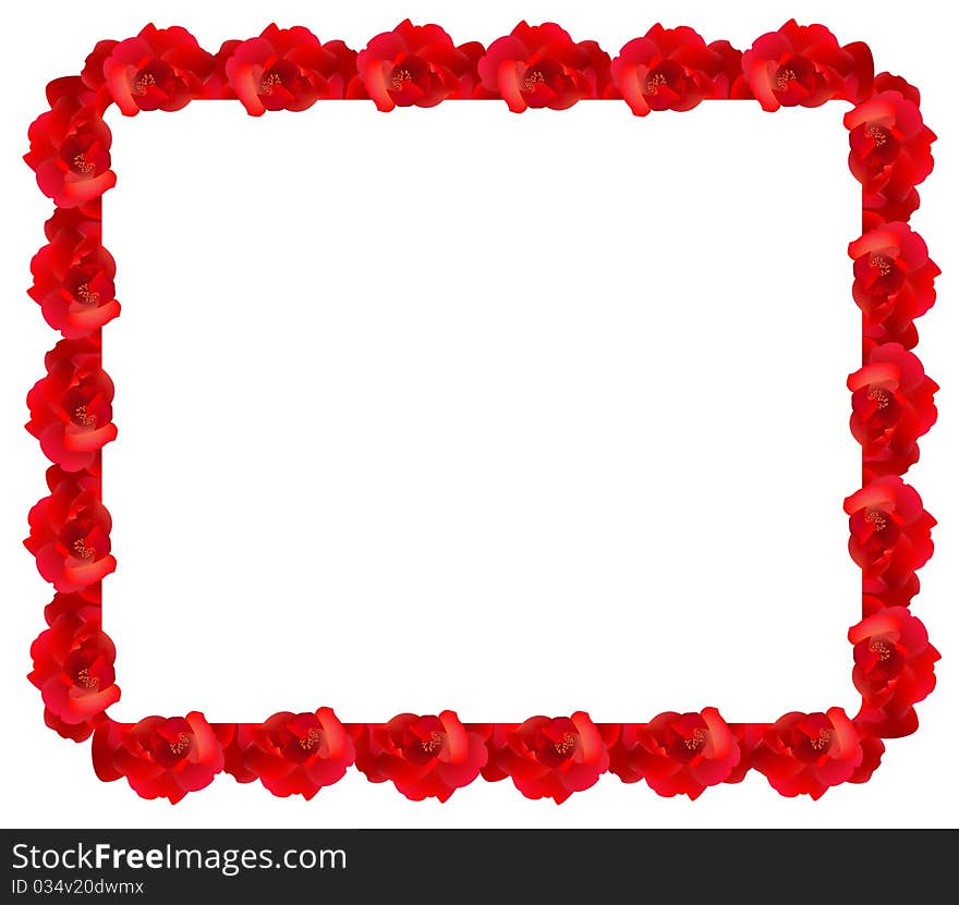 Red rose frame beautiful illustration for a design