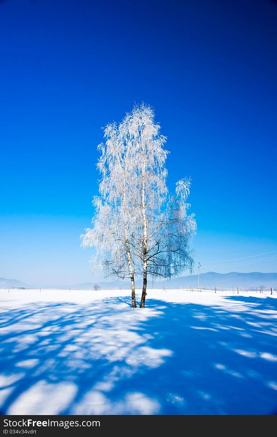 Beautiful winter tree covered with frost There are more inspiring nature motives in my portfolio - thank´s for your further interest!