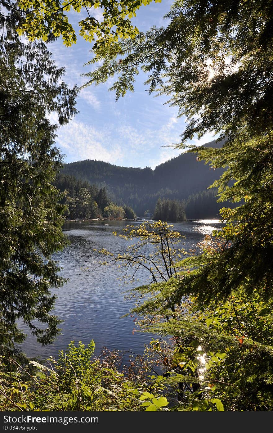 Beautiful landscape view with leaf frame