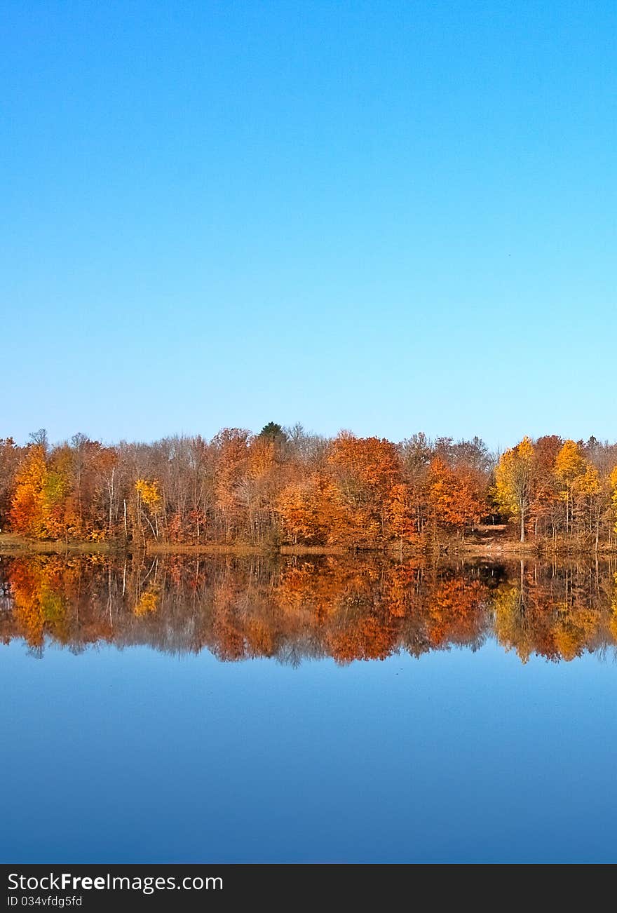 Council Grounds Vert Reflection