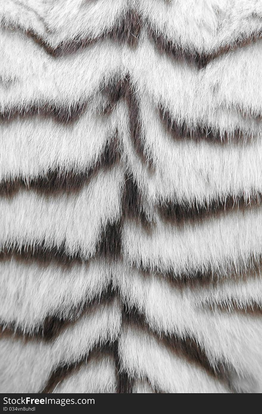 Real white bengal tiger skin