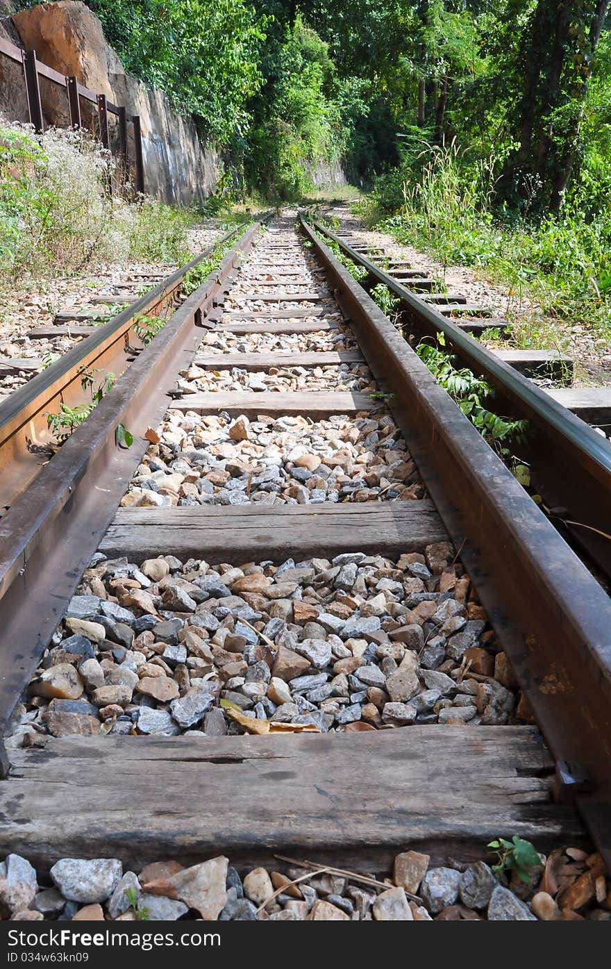 The line of railway into the jungle