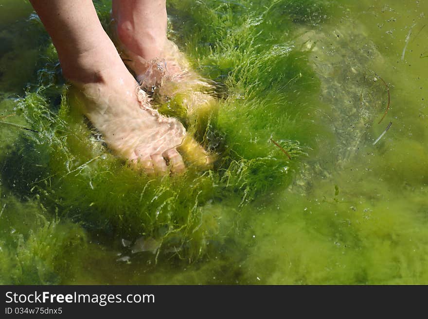 Human foot in the seaweed