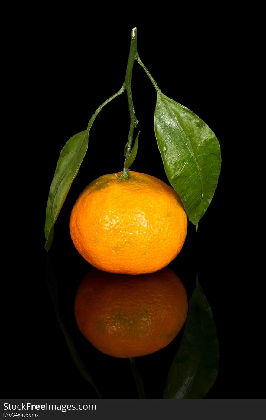 Tangerine isolated on black