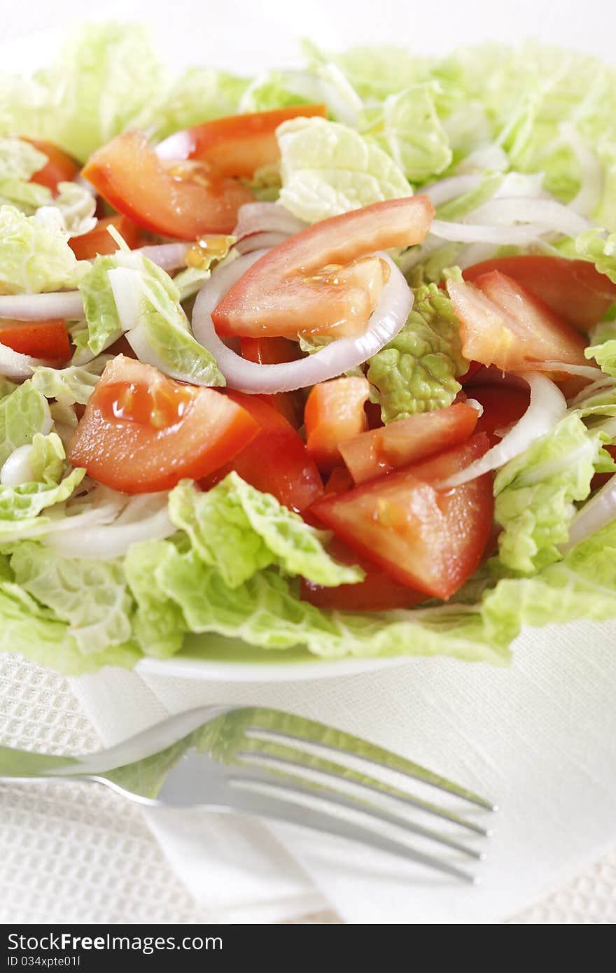 Fresh vegetable salad in plate