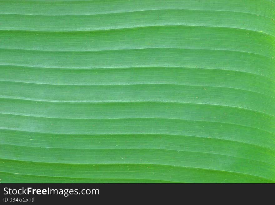 Banana Leave Pattern used for Thai Dessert