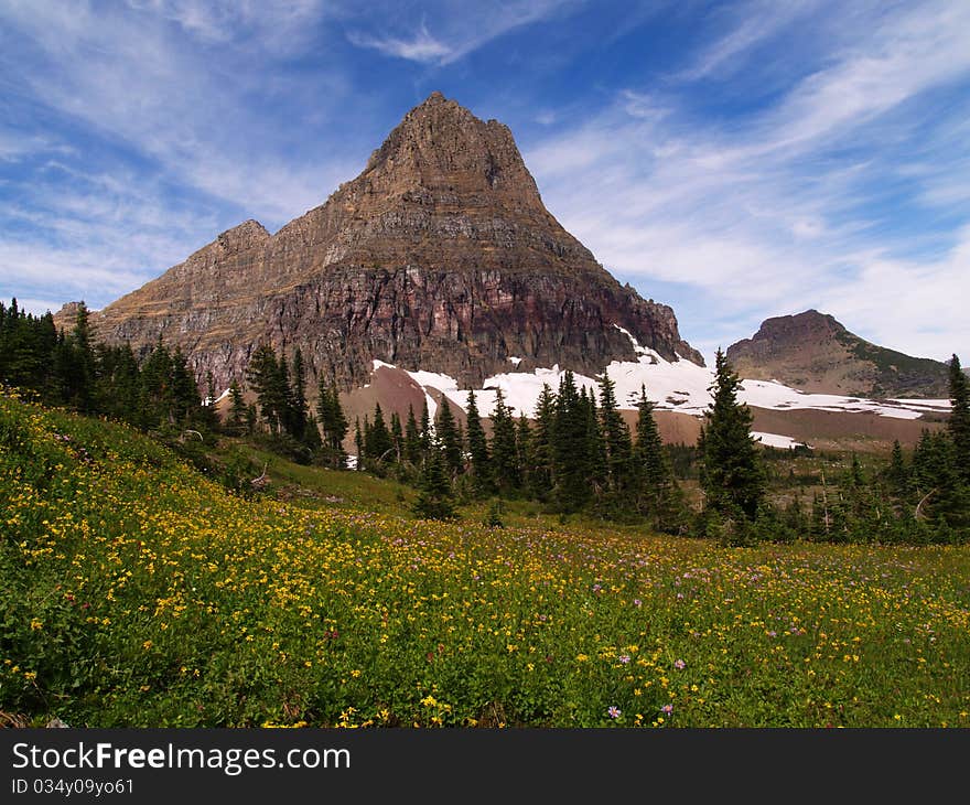 Mt Clements And Alpine Wildflower Meadow