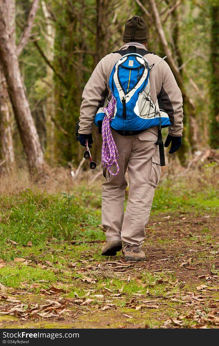 Hiker walking a trail