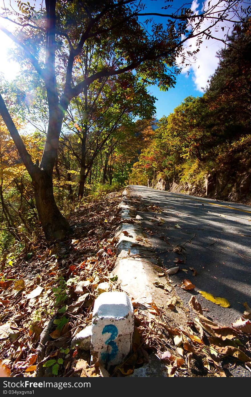 Sunlight filters through leaves on a country road,Qin Mountain,china. Sunlight filters through leaves on a country road,Qin Mountain,china