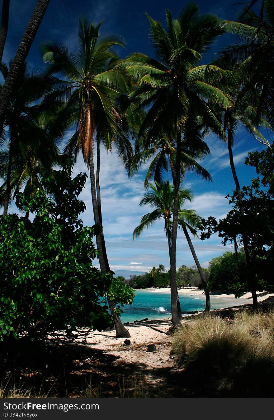 A pretty beach on the Big Island of Hawai'i. A pretty beach on the Big Island of Hawai'i