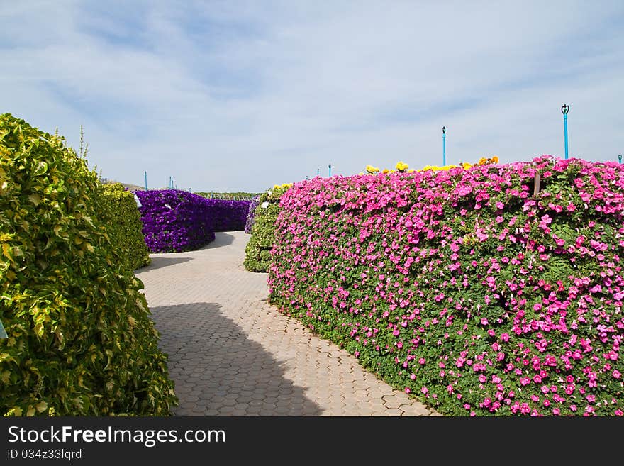 Walkway In The Garden And The Blue Sky