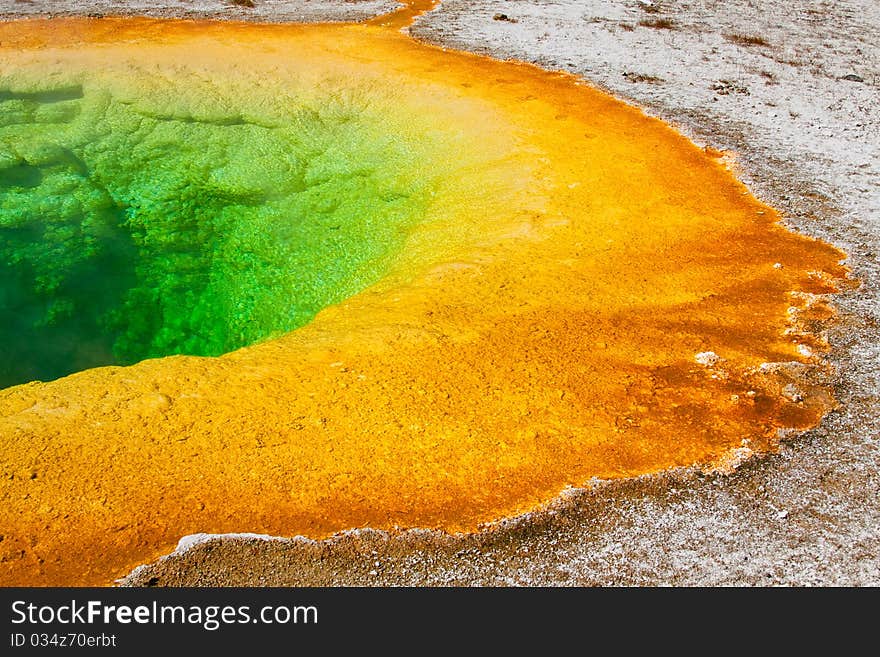 Morning Glory Pool in the Upper Geyser Basin of Yellowstone National Park, Wyoming.