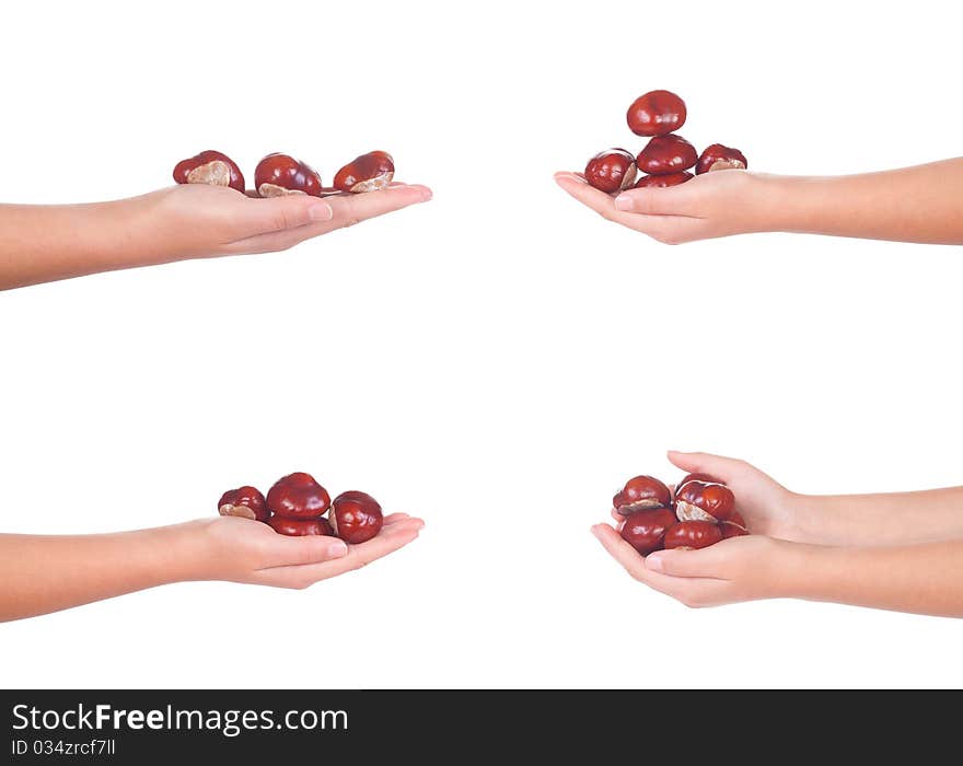 Female Hand With Chesnuts, Isolated