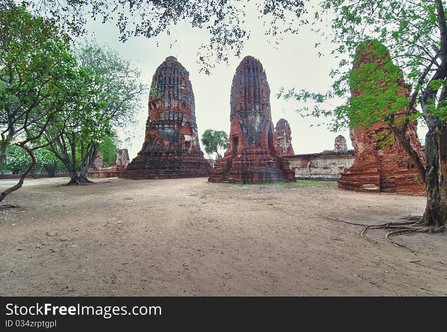 Ruins With Trees From Ayutthaya