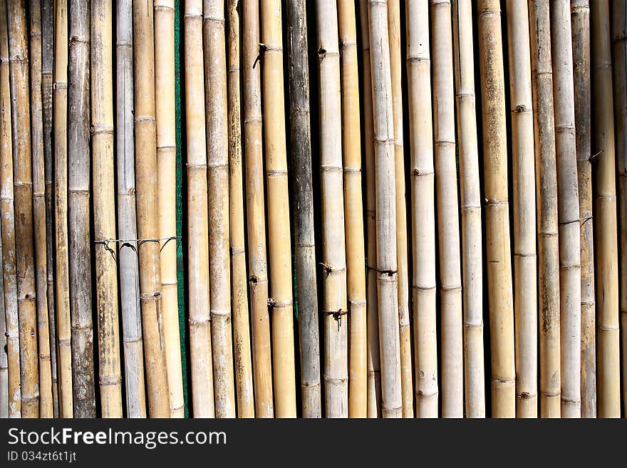 Bamboo wall