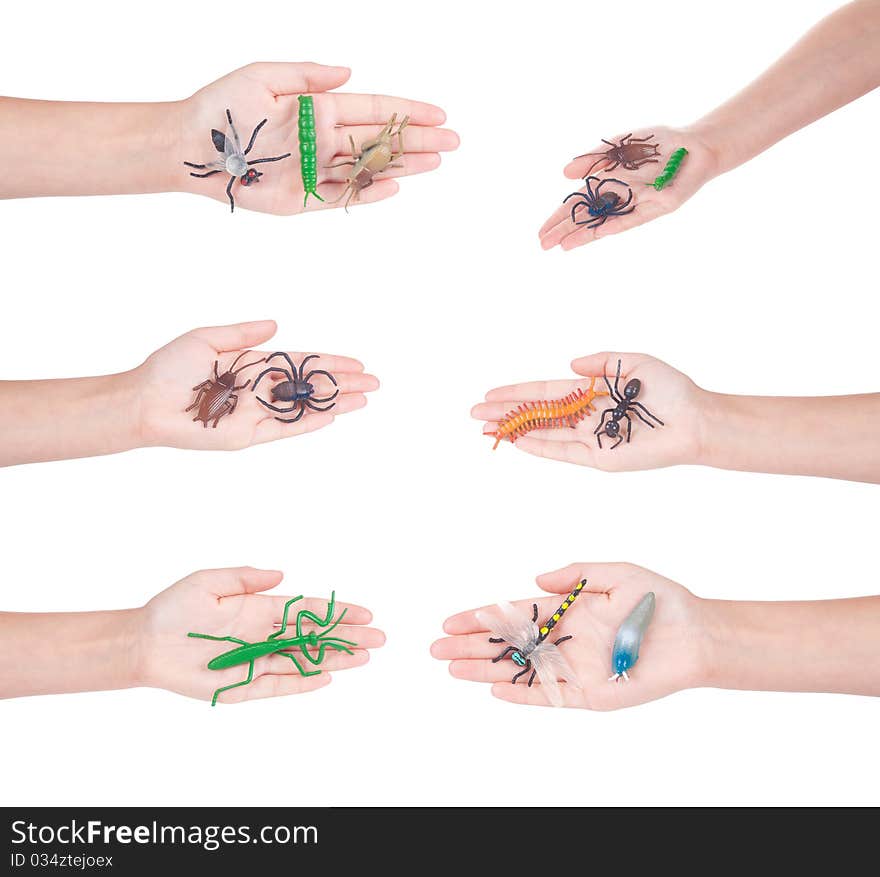 Insects in a female hand, isolated on white