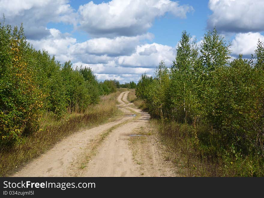 In a photo the road to a wood is represented. The photo is made in August.