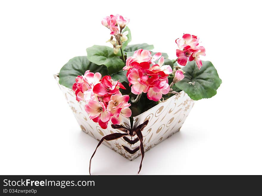 Present Packaging With Geraniums