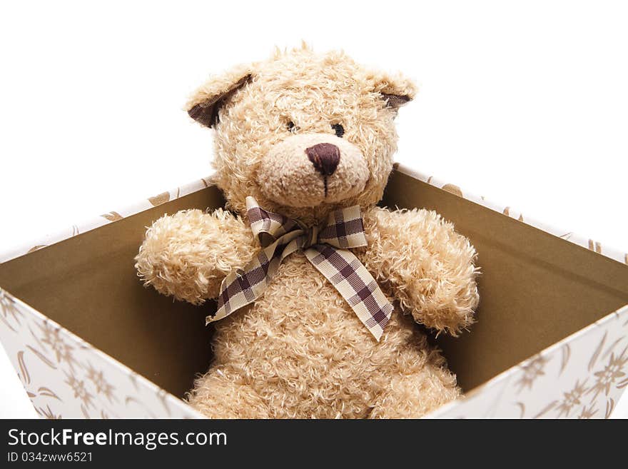 Present packaging with plush bear