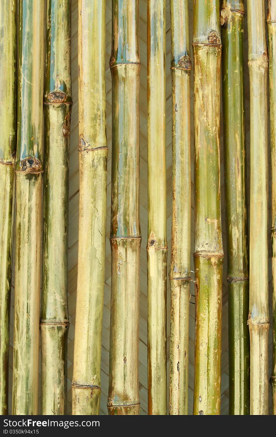 Shiny bamboo wall with the texture of bamboo hut in the background