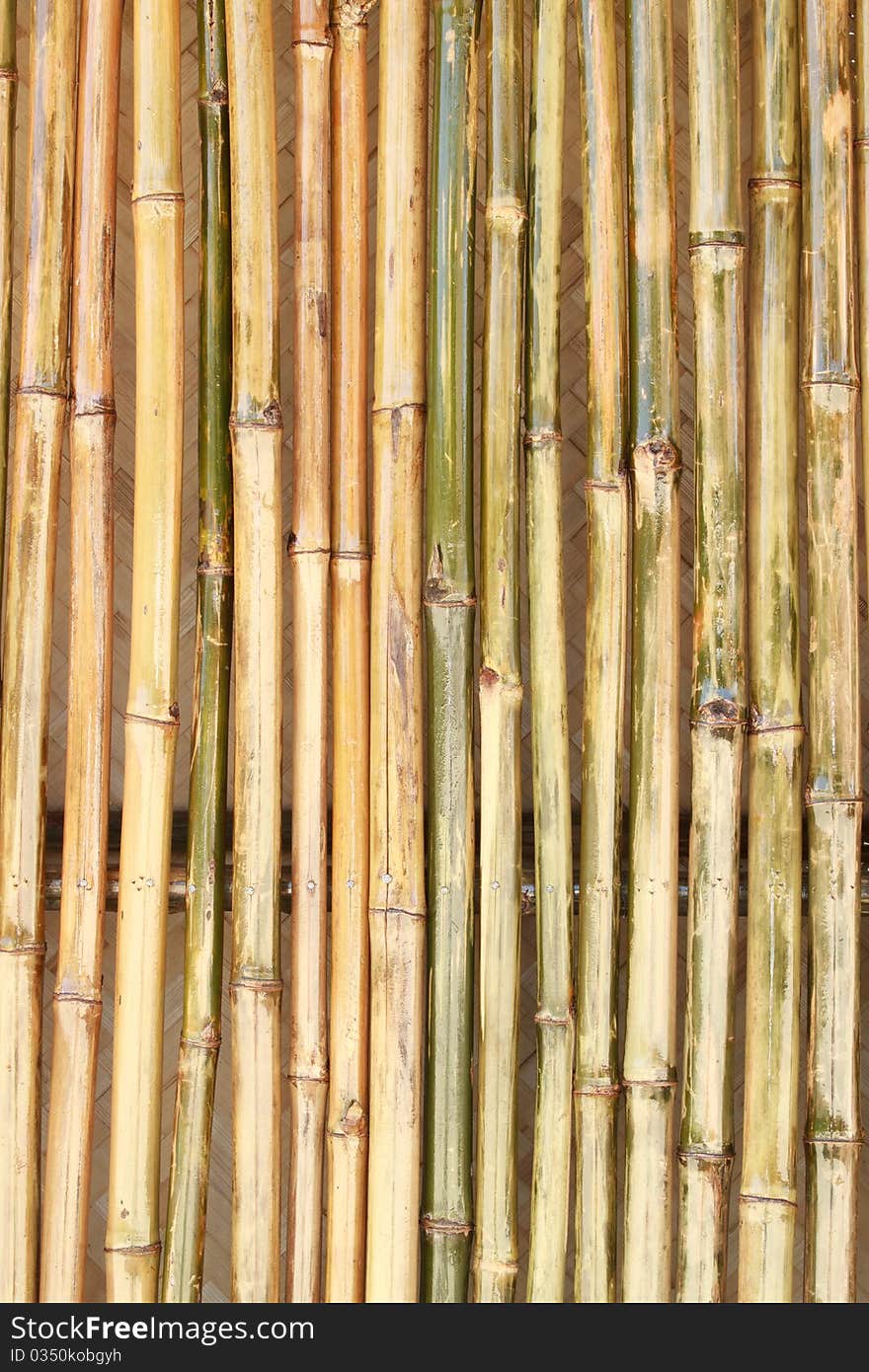 Shiny bamboo wall with the texture of bamboo hut in the background