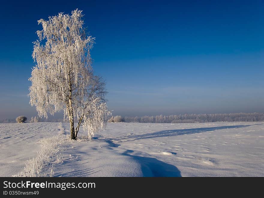 Winter scenery