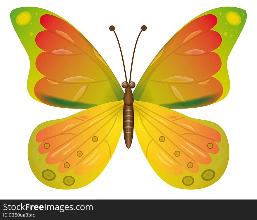 Butterfly isolated.  EPS10 Vector