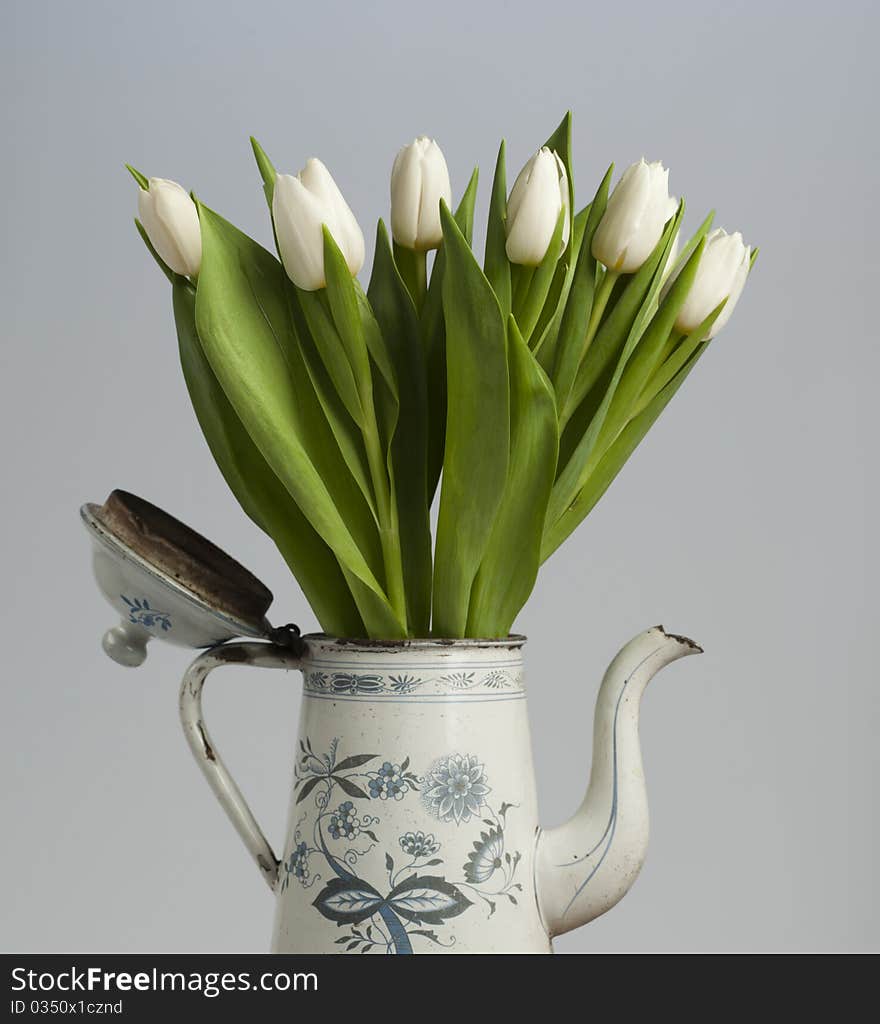 Old coffee can with tulips