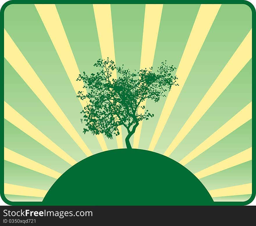 Sun Rays background with tree silhouette