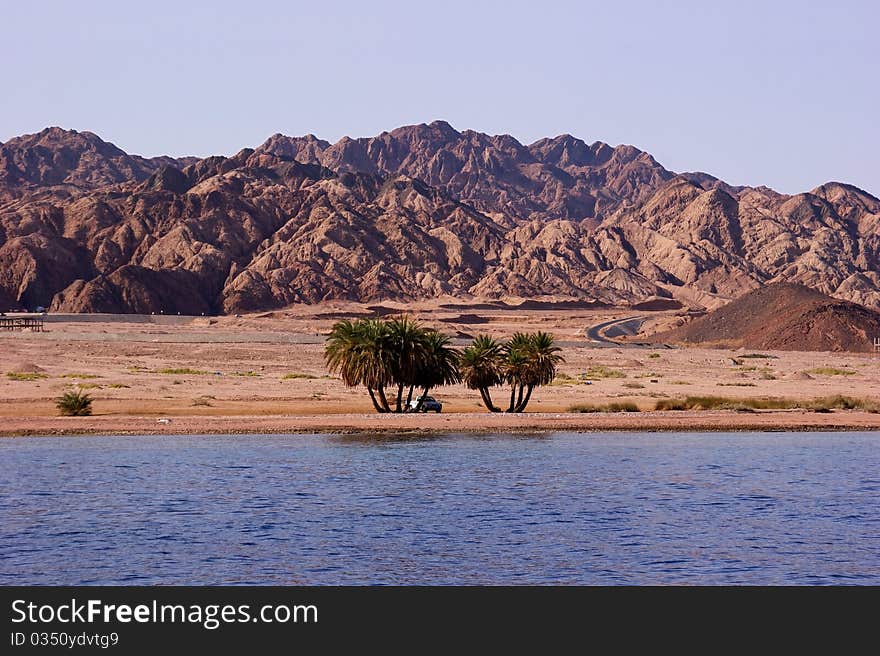 Two groups of palm trees and a car on the beach to the background of desert and mountains. Two groups of palm trees and a car on the beach to the background of desert and mountains