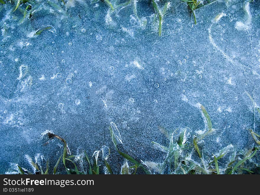 Frozen water with bubles and grass. Frozen water with bubles and grass