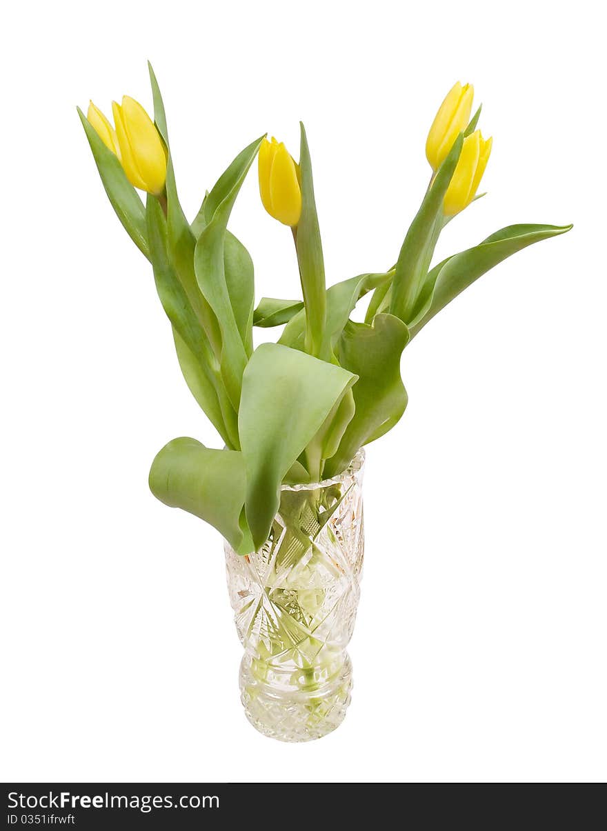 Bouquet of yellow tulips in a crystal vase