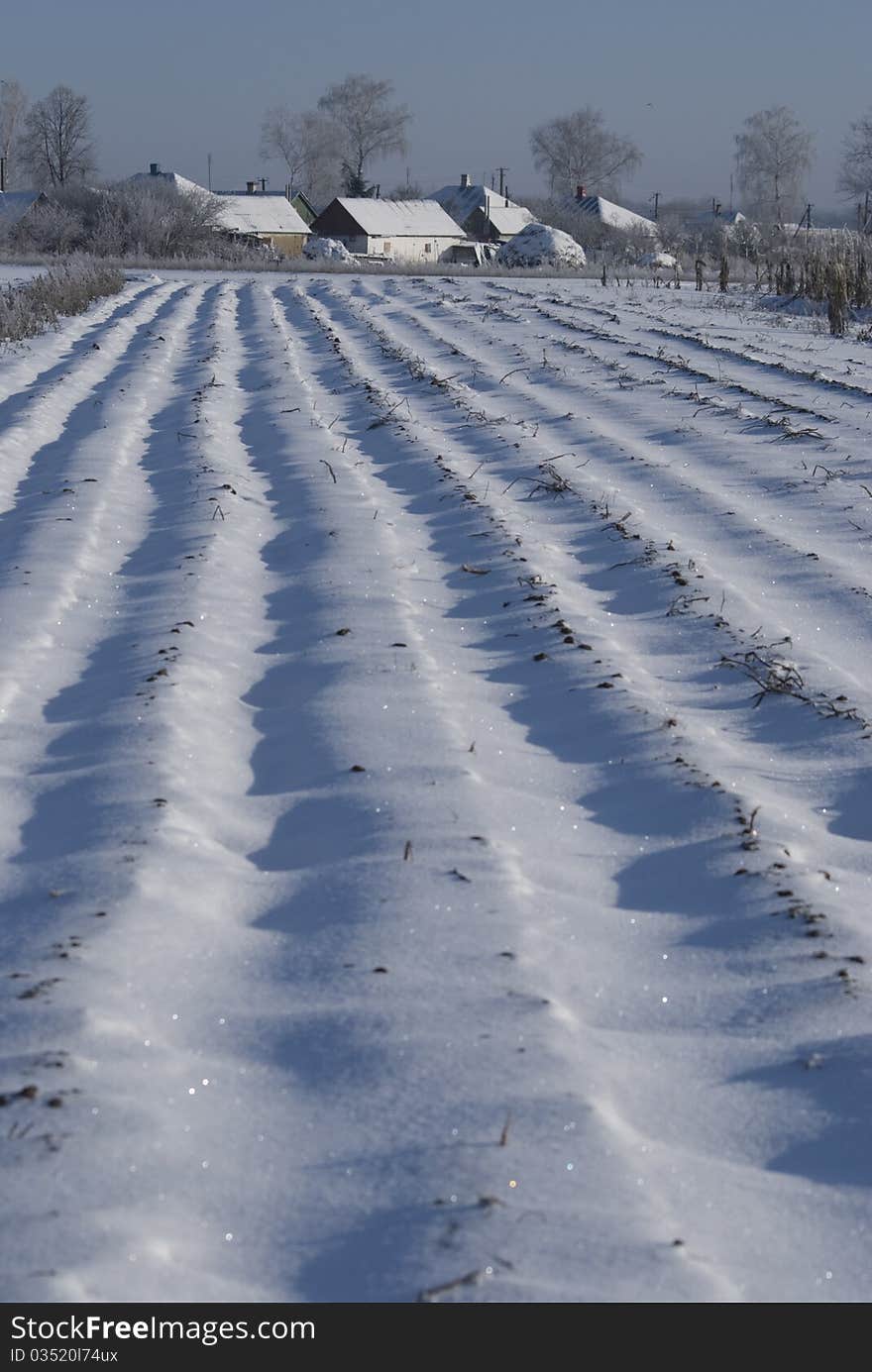 Winter in small village, snowdrifts in the field