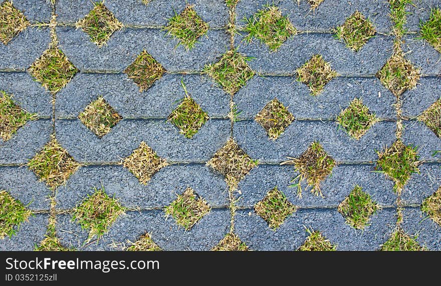 Green grass in the concrete on walkway