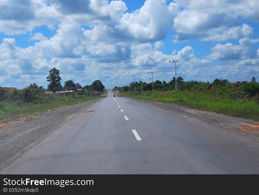 Endless Road In Kalimantan