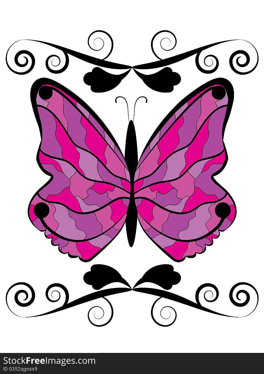 Butterfly