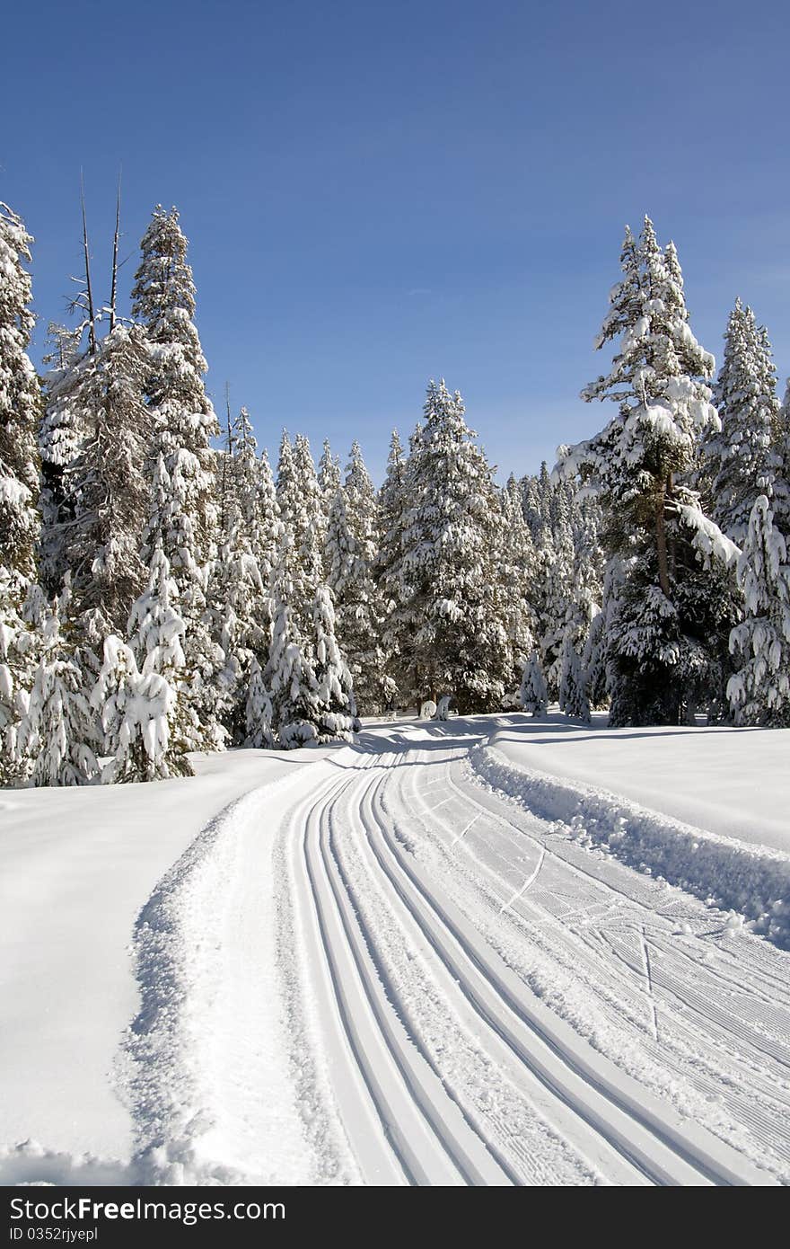 Winter. Bear Valley California,december 2010. Winter. Bear Valley California,december 2010