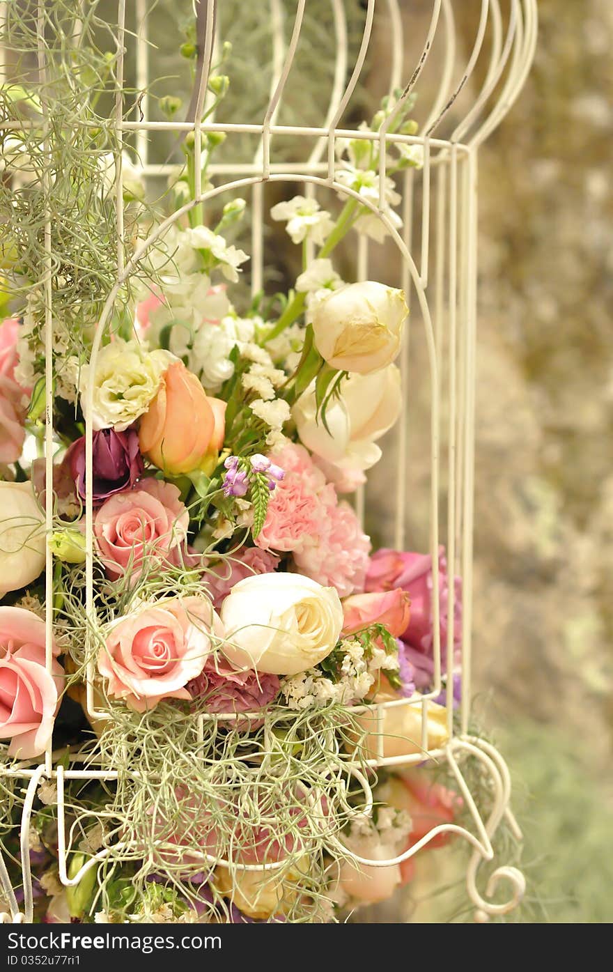 Close up of colorful flower decorated in cage.