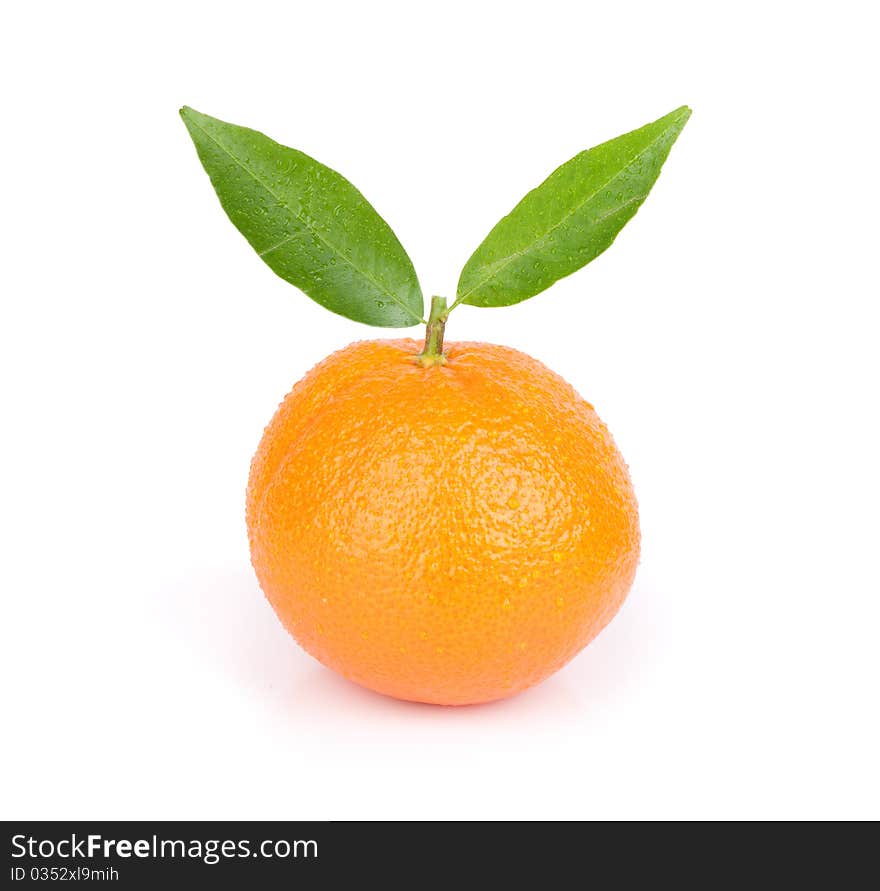 Tangerine isolated on a white background. Tangerine isolated on a white background