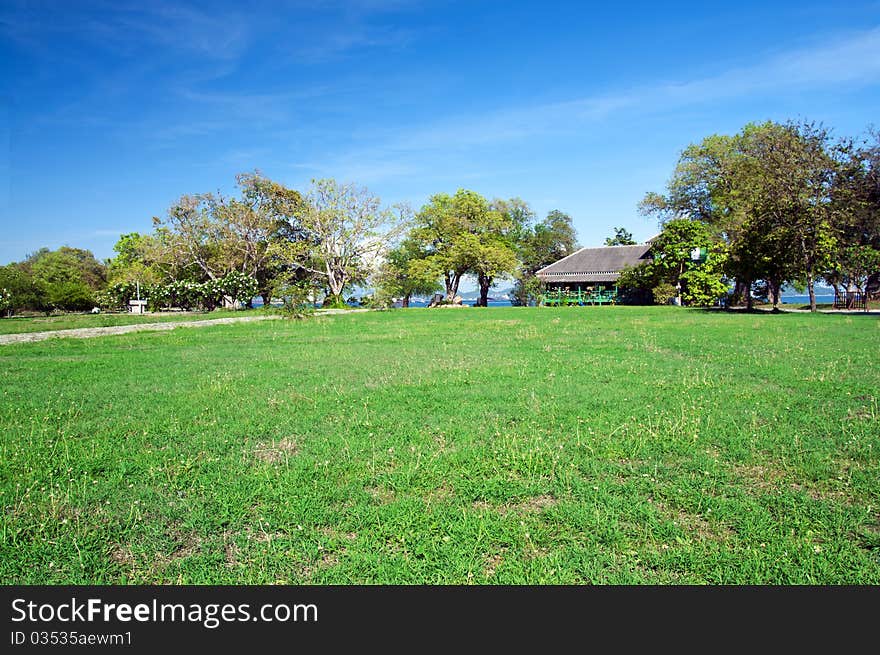 Grass field by the sea