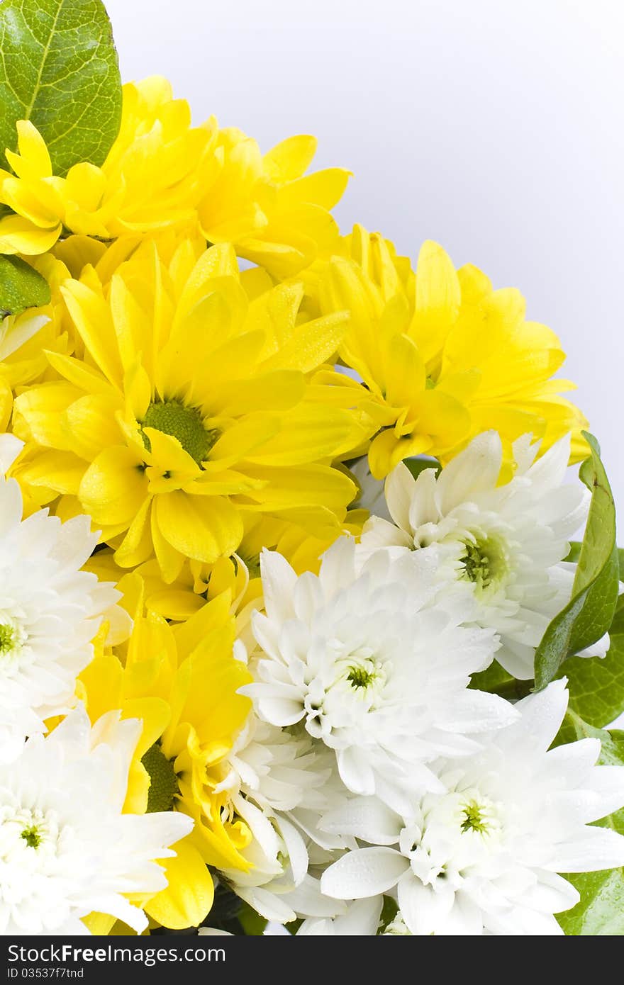 Bunch of freshly cut white carnation flowers arranged in a simple floral bouquet with green leaves. Bunch of freshly cut white carnation flowers arranged in a simple floral bouquet with green leaves