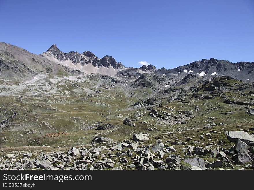 Site of Curtales,France