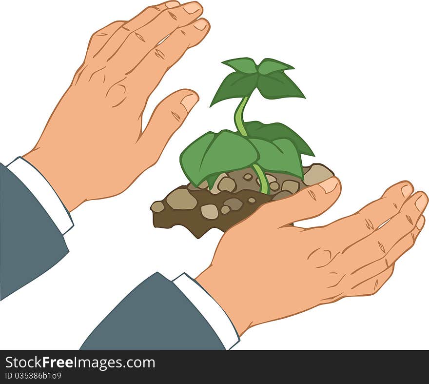 From the soil grows green sprout.Human hands near the sprout.